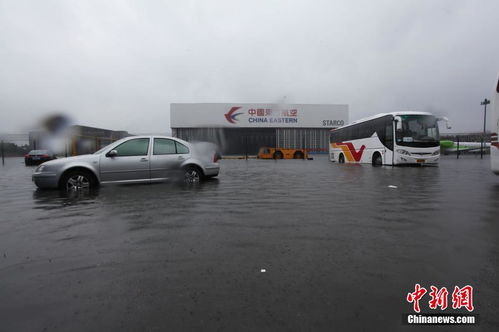 上海遭遇特大暴雨，市民頂風(fēng)冒浪頑強(qiáng)前行